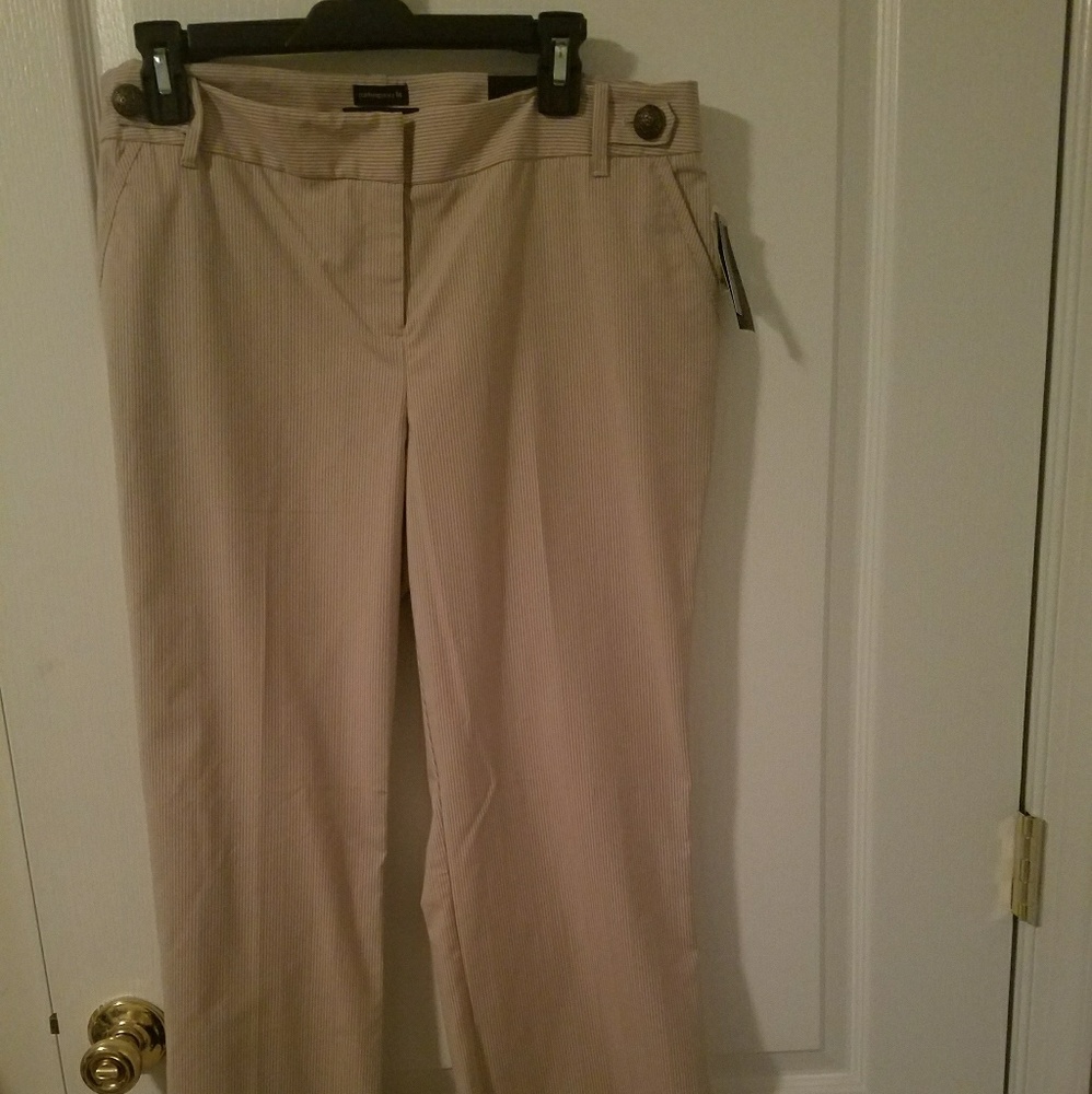 Ladies pinstripe pants